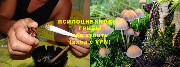 mdpv Балахна