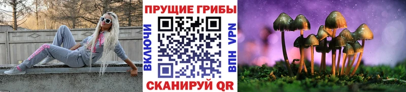 Псилоцибиновые грибы ЛСД  Купить где  Южно-Сахалинск 